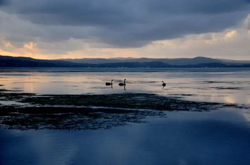 Tuggerah Lake at sunset